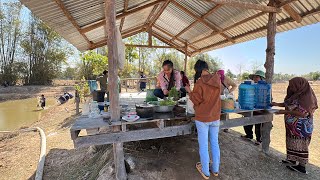 บรรยากาศบ้านนา หว่านแหตึกปลา กินข้าวอยู่กลางท่งนา 🥰🥰