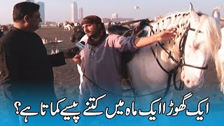 ایک گھوڑا ایک ماہ میں کتنے پیسے کماتا ہے؟