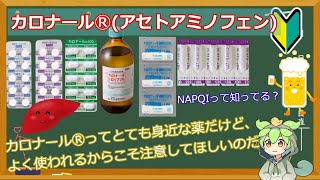 【薬剤師解説】カロナールⓇ（アセトアミノフェン）の注意点はどんなの？【ずんだもん】