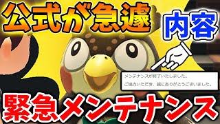 【あつ森】公式が急遽メンテナンス→終了！いったい何が変わったのか？【あつまれどうぶつの森/攻略/実況/アプデ/アップデート/メーデー/みしらぬネコ】