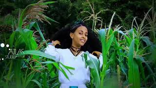 Hiluf Alemu ~ [wezam] Ethiopian Tigrigna music