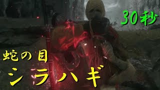 シラハギ　30秒 【SEKIRO(隻狼)】 「シラハギと正攻法で再び戦ってみた」