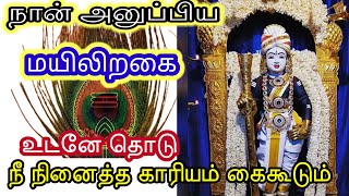 நீ நினைத்த காரியம் கைகூடும் |Murugan motivation tamil|Ommuruga |ஓம்முருகா |முருகன் |முருகா