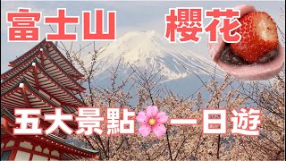 🌸富士山賞櫻花｜河口湖｜大石公園｜新倉山淺間神社｜忍野八海｜西湖合掌村｜本町街｜