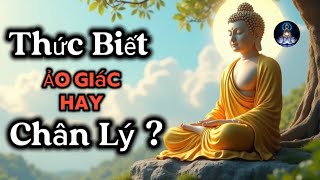 Thức Biết, Ảo Giác Của Cái Tôi Hay Con Đường Đến Giác Ngộ?
