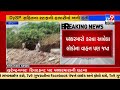 stone pelting incidence on surendranagar police two arrested gujarat tv9gujaratinews