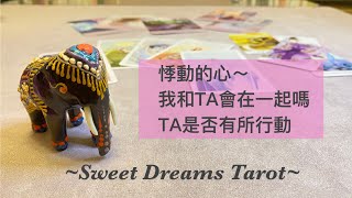 🌜Sweet Dreams Tarot🌛在一起❓我和TA會在一起嗎🌱TA是否有所行動💕用塔羅牌和神諭卡看三個月內關係發展✅朋友/同事/同學/曖昧/分手/三角戀⏰Timeless