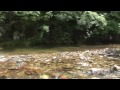 flyfishing kinpouzan river part.1　金峰山川　part 1