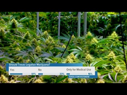 There Is A Bipartisan Effort To Legalize Marijuana In Texas | Will ...