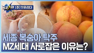 [최강기업] 향기로운 전통주에 트렌드를 더하다! / YTN 사이언스