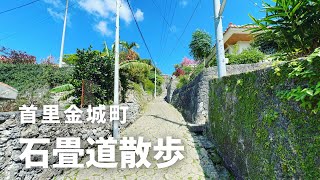 [沖縄本島] 石畳道を散歩