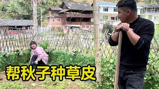 跟敏锅她们逛街回来，一起帮秋子种草皮，男二号意外被夸奖【男二号V】#乡野丫头#农人老肥