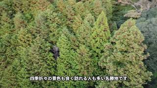 京丹波町　玉雲寺から琴滝へ散策