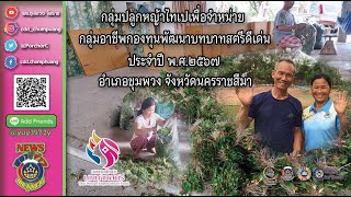 ความสำเร็จกลุ่มอาชีพ สมาชิกกองทุนพัฒนาบทบาทสตรีอำเภอชุมพวง จังหวัดนครราชสีมา ประจำปี 2567