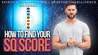 The SQ Test // Spiritual Intelligence 03