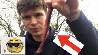 Weird Lure Review!!!! The Westin Baits Ring Teez! Giant Swimbait!!!!