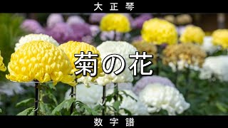 【大正琴】数字譜　菊の花　文部省唱歌　「きれいなはなよ　きくのはな～」