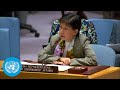 Ukraine: Concerns over transfer of cluster munitions - Security Council Briefing | United Nations