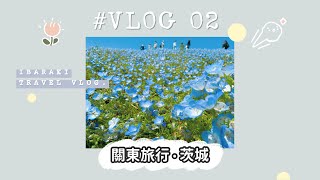 【日本旅遊VLOG】✍🏻 #2 黃金週賞花趣 ✿ 茨城縣日立海濱公園、可愛療癒地瓜乾神社、絕美粉蝶花園跟金黃色鳥居！