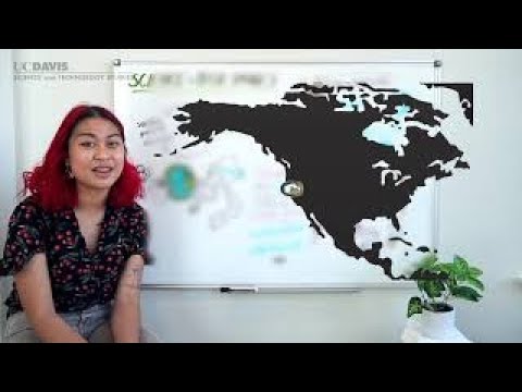 Sts Crash Course Youtube