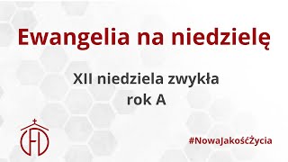 XII niedziela zwykła - rok A