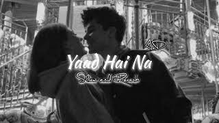 Yaad Hai Na (Slow + Reverb) [AD]