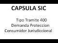 SIC DEMANDA PROTECCION CONSUMIDOR JURISDICCIONAL Superintendencia de Industria y Comercio Tiempos