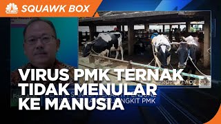 Ahli Pastikan Virus PMK Ternak Tidak Akan Menular Ke Manusia