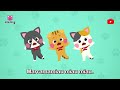 🐺juguemos en el bosque y más canciones de animales como los animalitos pinkfong en español