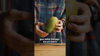 Resep mango smoothfee, smoothies mangga pakai kopi #idejualan #idejualanminuman #kopi