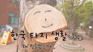 타지생활 vlog 한국에 정든 이유