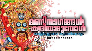 മണിനാഗങ്ങൾ കളിയാടുമ്പോൾ | ചെട്ടികുളങ്ങര കുത്തിയോട്ടം| Chettikulangara Kuthiyottam ✨