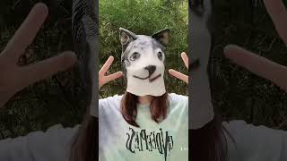 หน้ากาก หมา ไซบีเรียนฮัสกี siberian husky หน้ากากแฟนซี | ป้าแป้น รีวิว