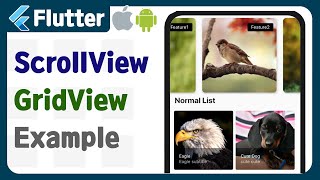 Flutter - Make Main screen (1) ScrollView, GridView, ListView example, tutorial