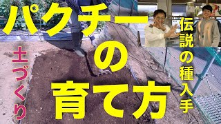 パクチーの育て方 準備編【小石取り、土づくりとタネ入手】パクチー銀行からの融資も！