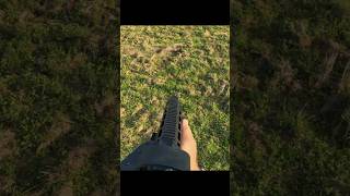 большой кабан, быстрый выстрел#chasse #hunting #aerialshooting