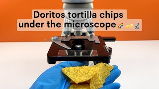 Do you know what Doritos Corn Flakes look like when magnified 400 times under a microscope?