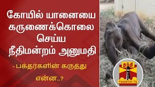 கோயில் யானையை கருணைக்கொலை செய்ய நீதிமன்றம் அனுமதி - பக்தர்களின் கருத்து என்ன..?