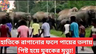 হাতির পায়ে পিষ্ট হয়ে যুবকের মৃত্যু | Young Man died by an Elephant | #elephantattack #factvideo