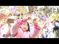 初日の出と初詣（生田神社、湊川神社、長田神社）