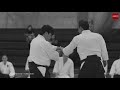 aikido tutorial shiho nage