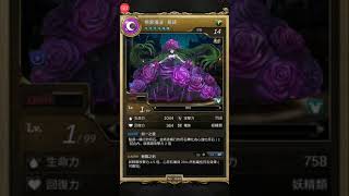 #FuLin電玩-#神魔之塔-20171103-遊戲-神魔之塔14.2版-三大獎之薔薇動態造型