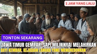 Jawa Timur Gempar! Sapi Milik Kyai Melahirkan Bayi Kembar, Kejadian Langka yang Menghebohkan!!!!