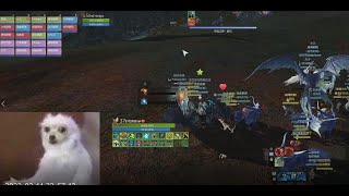 Archeage asia scrim pvp