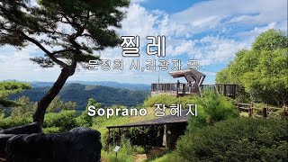 찔레(문정희 시,김광자 곡) 장혜지 소프라노  #한국시인협회  창립60주년 2017