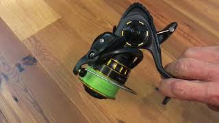 Daiwa BG 3000