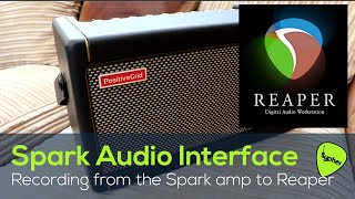 Using the Positive Grid SPARK amp as an AUDIO INTERFACE to record audio in REAPER.