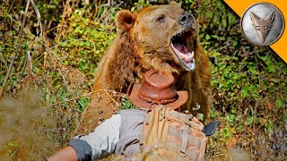 Atak Grizzly 🐻 Coyote Peterson zmierzy się z potężnym niedźwiedziem | Brave Wilderness Polski