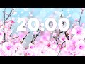 20 Minute Relaxing Spring Timer 🌸