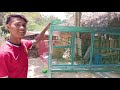 Membuat Reban Ayam/Chicken Coop